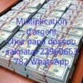 MULTIPLICATION D'ARGENT RAPIDE