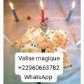 MULTIPLICATION D'ARGENT DISPONIBLE +22960663782 WHATSAPP