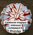 CALEBASSE MAGIQUE SANS CONSEQUENCE +229 60 66 37 82 WHATSAPP