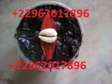 BIENVENUE CHEZ LE PLUS GRAND MAITRE MARABOUT DU MONDE GRAND SORCIER DU MONDE MYSTIQUE VAUDOU MEDIUM VOYANT OCCULTE GBEMAVO +229 62 01 78 96