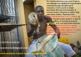 VOUS RECHERCHEZ UN PUISSANT MAITRE MARABOUT POUR UN RETOUR AFFECTIF IMMEDIAT?