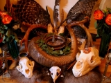 Powerful traditional healer+27606842758,swaziland,zimbabwe,angola,malawi.